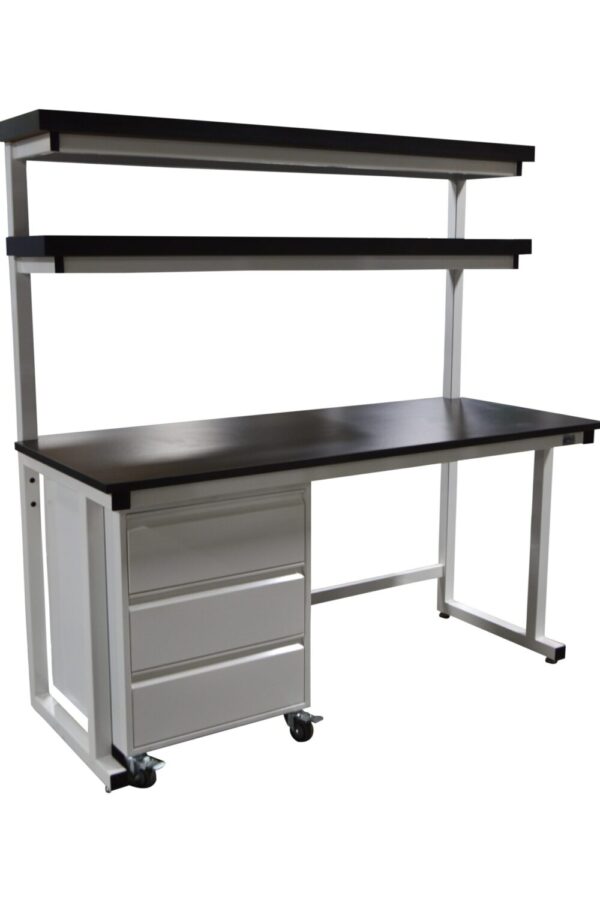 Cantilever Laboratory Workbench with Double Risers, Mobile Pedestal